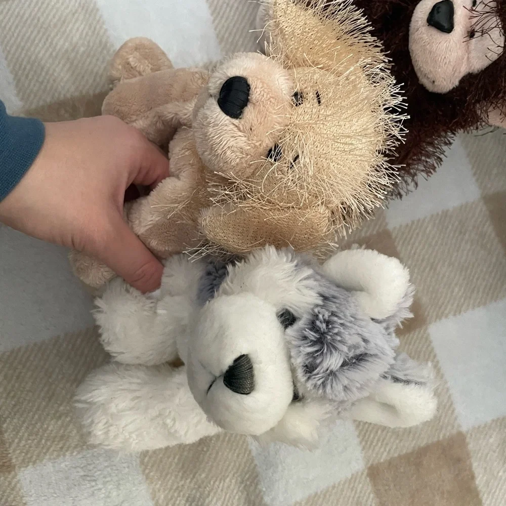 Lot of 11 Webkinz toys, Cats, Dogs, Racoon, and Monkey. Only the frog has a code